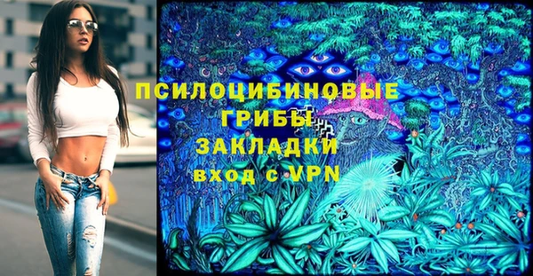 бошки Осташков