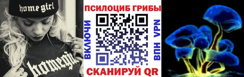 цена   Лихославль  Галлюциногенные грибы Cubensis 